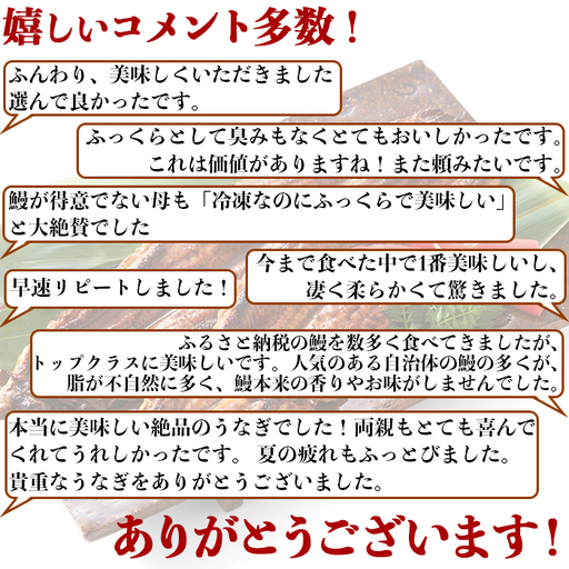 温泉うなぎ蒲焼 5尾(120gサイズ) 国産 九州 <104-005_5> 温泉うなぎ蒲焼 5尾(120gサイズ) 国産 九州 <104-005_5>