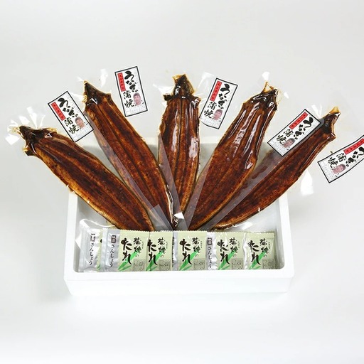 温泉うなぎ蒲焼 5尾(120gサイズ) 国産 九州 <104-005_5> 温泉うなぎ蒲焼 5尾(120gサイズ) 国産 九州 <104-005_5>