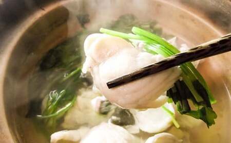 【冷凍】大分水産の豊後とらふぐ鍋&高級魚くえ鍋の味比べセット（3～4人前） 海鮮 ＜104-031_5＞