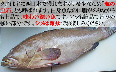 【冷凍】大分水産の豊後とらふぐ鍋&高級魚くえ鍋の味比べセット6人前(白子付) 海鮮 <104-032_5>