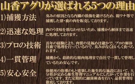 山香アグリのジビエ焼肉セット（猪肉400g、鹿肉スライス300g） 九州 ジビエスライス ジビエ焼肉 猪ジビエ 鹿ジビエ ジビエ食べ比べ ＜145-004_5＞