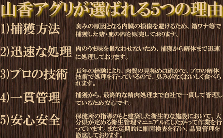 山香アグリのジビエ焼肉セット（猪肉400g、鹿肉スライス300g）＜145-004_5＞