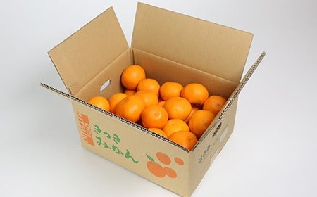 【訳あり品】阿部農園の「はるみ 約6kg」 / ミカン みかん 蜜柑 柑橘類 はるみ 先行予約 2月 訳あり 数量限定 フルーツ <112-008>