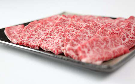 おおいた豊後牛ロース焼肉用700g 九州 ＜105-010_5＞