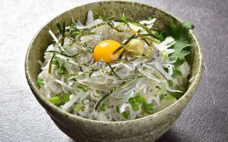 国産！添加物不使用！豊後別府湾生しらす 500g（100g×5パック）＜108-029_5＞