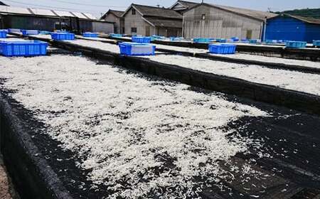 国産！添加物不使用！豊後別府湾ちりめん220g（小分け55g×4パック）＜108-032_5＞