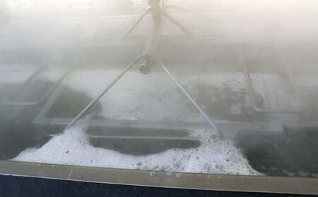 国産！添加物不使用！豊後別府湾釜揚げしらす たっぷり 1200g（300g×4パック）＜108-014_5＞