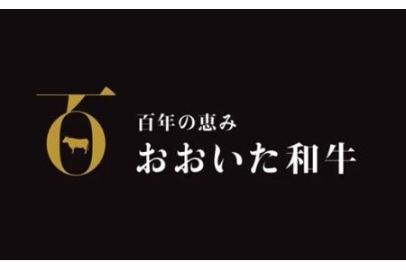 おおいた和牛特製ハンバーグ170g×6個（計1020g）【匠牧場】＜102-030_5＞