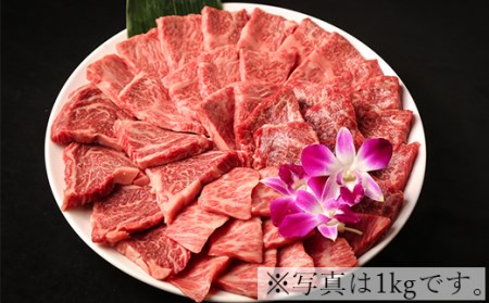 希少部位4種焼き肉セット1kg 匠牧場 おおいた和牛 特製タレ付 56 C9001 大分県杵築市 ふるさと納税サイト ふるなび