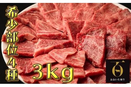 希少部位4種焼き肉セット3kg 匠牧場 おおいた和牛 特製タレ付 56 J1001 大分県杵築市 ふるさと納税サイト ふるなび