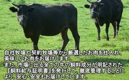 【期間限定発送】おおいた豊後牛ヒレステーキ 520g（130g×4枚） 黒毛和牛 国産 贅沢 人気 九州 肉 期間限定 ＜122-011_5＞