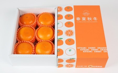 岩尾農園の温室栽培せとか 特選 約1.5kg 果物 期間限定 数量限定 九州 ＜066-003_5＞