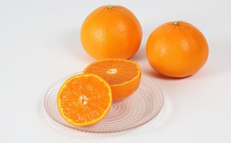 岩尾農園の温室栽培せとか 特選 約3kg 果物 期間限定 数量限定 九州 ＜066-004_5＞