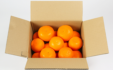 岩尾農園の温室栽培せとか 特選 約3kg 果物 期間限定 数量限定 九州 ＜066-004_5＞