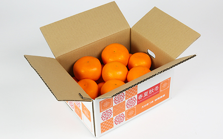 岩尾農園の温室栽培せとか 特選 約3kg 果物 期間限定 数量限定 九州 ＜066-004_5＞