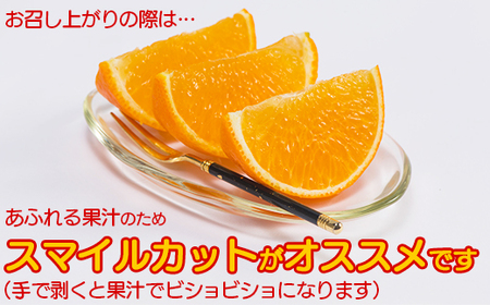 【訳あり・規格外品】今村農園のおひさまきらりん 約3kg 果物 期間限定 数量限定 <107-017_7>