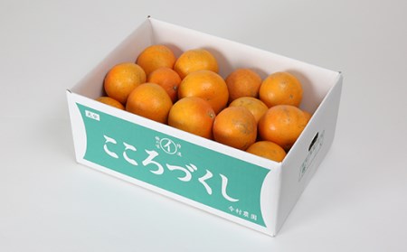 【訳あり・規格外品】今村農園のおひさまきらりん 約3kg 果物 期間限定 数量限定 <107-017_7>