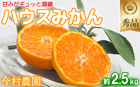 【期間限定発送】今村農園のハウスみかん 約2.5kg【秀品】 2026年 7月 夏 発送 果物 期間限定 九州 <107-007>