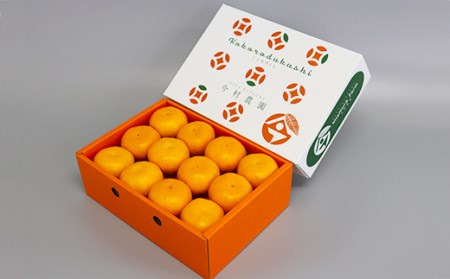 【期間限定発送】今村農園のハウスみかん 約2.5kg【秀品】 2026年 7月 夏 発送 果物 期間限定 九州 <107-007>