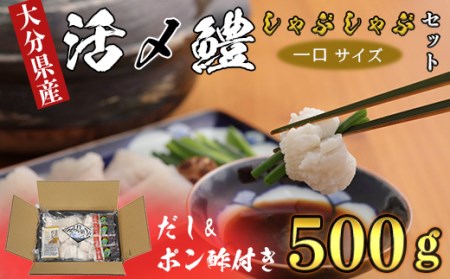 大分県産活じめ鱧（はも）しゃぶしゃぶセット 500g [3～5人前]＜108-009_5＞ 