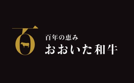 おおいた和牛 すき焼き用2種 計1.2kg（クラシタロース・ブリスケスライス ）【匠牧場】＜102-024_5＞