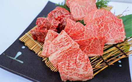 おおいた和牛希少部位4種焼肉食べ比べセット400g【匠牧場】 牛肉 焼肉 牛 焼肉用 和牛 おすすめ 国産 赤身 食べ比べ おおいた和牛 BBQ バーベキュー <102-011_5>