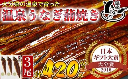 温泉うなぎ蒲焼 3尾（140gサイズ） 国産 九州 ＜104-008_5＞