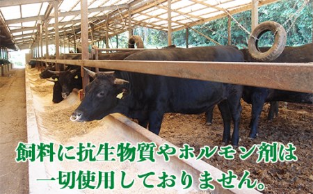黒毛和牛 ハンバーグ（170g×6）【ニード牧場】＜129-002_5＞