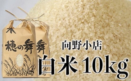 大分県杵築市産山香米お米30㎏(こめ) - 食品