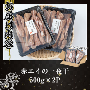 長洲赤エイの一夜干(計1kg・500g×2)おつまみ 干物 乾物【114300100】【豊永長六商店】