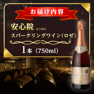 安心院スパークリングワイン ロゼ(750ml)酒 お酒 ワイン ロゼ アルコール 飲料 ぶどう 葡萄【107301000】【時枝酒店】