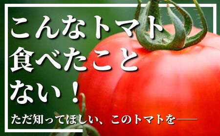 【110000100】【先行予約】トマト男のフルーツトマト1kg 野菜 甘いトマト 生産農家直送 ひろしま農園 数量限定 とまと 2024年3月下旬～5月下旬順次発送
