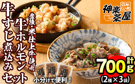 豊後米仕上げ牛牛すじ煮込み＋牛ホルモン炒めセット(合計700g・3パック)牛肉 お肉 小腸 おかず おつまみ 小分け 簡単調理 時短 惣菜【111100301】【神楽茶屋】