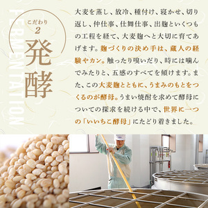 ＜定期便・全6回(隔月)＞いいちこ 25度 パック(総量64.8L・計10.8L×6回)酒 お酒 むぎ焼酎 1800ml 麦焼酎 いいちこ 常温 三和酒類 紙パック【204300200】【山添産業】