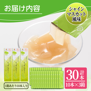 おおいた 美・すっぽんぜりー シャインマスカット風味(計30本・10本×3箱)小分け ゼリー スッポン 常温 保存【115300800】【アンフィニプロジェクト】
