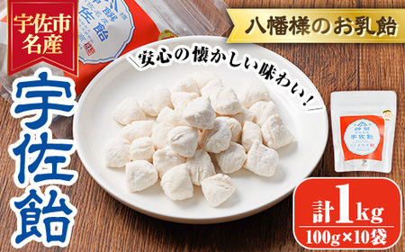 宇佐飴(計1kg・100g×10袋)あめ お菓子 おかし おやつ【112800201】【岡部商事】