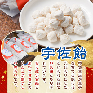 宇佐飴(計1kg・100g×10袋)あめ お菓子 おかし おやつ【112800201】【岡部商事】