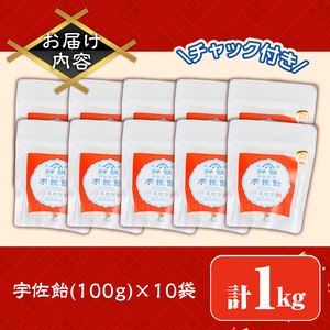 宇佐飴(計1kg・100g×10袋)あめ お菓子 おかし おやつ【112800201】【岡部商事】