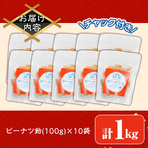 ピーナツ飴(計1kg・100g×10袋) ピーナッツ あめ お菓子 おかし おやつ 落花生 【112800401】【岡部商事】