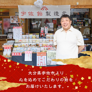 ピーナツ飴(計1kg・100g×10袋) ピーナッツ あめ お菓子 おかし おやつ 落花生 【112800401】【岡部商事】
