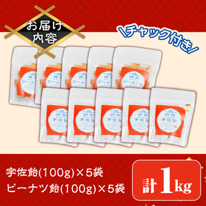 宇佐飴・ピーナツ飴 詰め合わせ(計1kg・100g×各5袋) ピーナッツ あめ お菓子 おかし おやつ 落花生 【112800601】【岡部商事】