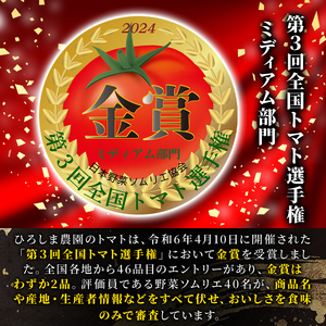 ＜先行予約受付開始！2026年3月下旬から順次発送予定＞フルーツトマト(2kg)トマト 野菜 期間限定 数量限定【110000200】【ひろしま農園】
