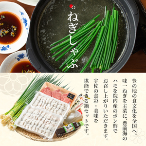 ねぎしゃぶ(鱧はも)＋ヒレステーキセット(6品)ねぎしゃぶ しゃぶしゃぶ 鱧 はも 鍋 お鍋 和牛 ヒレステーキ セット【101500601】【菊水旅館】