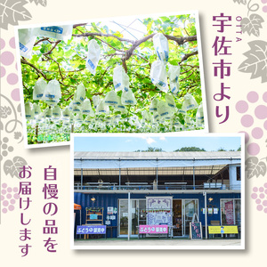 CHOTO MITASU シャインマスカットセット(計150g・15g×10袋)ドライフルーツ 葡萄 ぶどう シャインマスカット 果物 くだもの フルーツ 乾燥 小分け セット【100701601】【宮田ファミリーぶどう園】