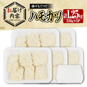 ハモカツ(計1.25kg・250g×5P) 鱧 はも 冷凍 惣菜 カツ 揚げるだけ フライ おかず 勝負めし 【101900700】【上野水産】