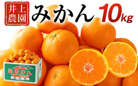 ＜先行予約受付中！11月上旬より順次発送予定＞数量限定 大分県宇佐市産 温州みかん(約10kg)みかん ミカン 蜜柑 柑橘 フルーツ 果物 くだもの 果実 国産【103620100】【井上農園】