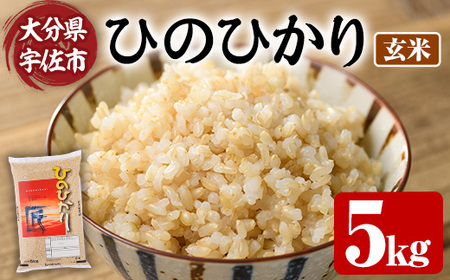 ＜令和7年産＞ひのひかり 玄米 (5kg) お米 ごはん ご飯【107101302】【あいはな農園】