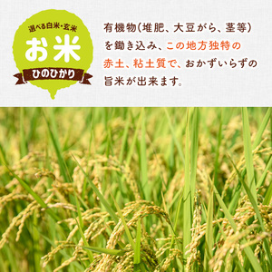 <令和7年産>ひのひかり 玄米 (計10kg・5kg×2P) お米 ごはん ご飯【107101402】【あいはな農園】
