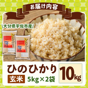 <令和7年産>ひのひかり 玄米 (計10kg・5kg×2P) お米 ごはん ご飯【107101402】【あいはな農園】