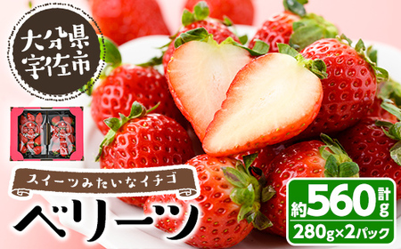 <先行予約受付中!2026年1月下旬~3月中旬に順次発送予定><数量限定>ベリーツ いちご (計約560g・280g×2パック) 苺 イチゴ フルーツ 果物 くだもの 果実 ベリーツ【115800300】【大分中央農産】